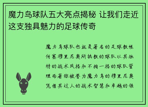魔力鸟球队五大亮点揭秘 让我们走近这支独具魅力的足球传奇